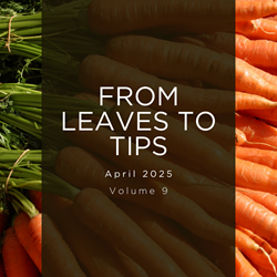 Carrots
